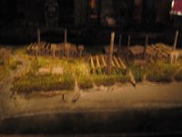 2010077501 Victoria - British Columbia - Canada - Aug 03