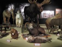 2010077512 Victoria - British Columbia - Canada - Aug 03