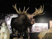 2010077514 Victoria - British Columbia - Canada - Aug 03