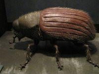 2010077519 Victoria - British Columbia - Canada - Aug 03