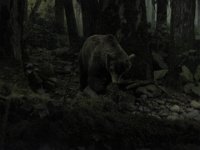 2010077526 Victoria - British Columbia - Canada - Aug 03