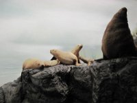 2010077529 Victoria - British Columbia - Canada - Aug 03