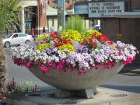 2010077562 Victoria - British Columbia - Canada - Aug 03