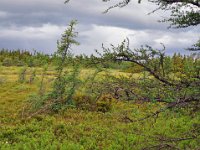 2012069475 Cabot Trail National Park - Cape Breton Island - Nova Scotia - Jun 24