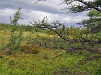 2012069476 Cabot Trail National Park - Cape Breton Island - Nova Scotia - Jun 24