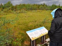 2012069478 Cabot Trail National Park - Cape Breton Island - Nova Scotia - Jun 24