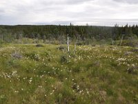 2012069482 Cabot Trail National Park - Cape Breton Island - Nova Scotia - Jun 24