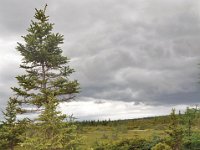 2012069484 Cabot Trail National Park - Cape Breton Island - Nova Scotia - Jun 24