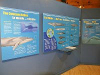 2012069528 Cape Smokey and the Lobster Fishing Industry - Cape Breton Island - Nova Scotia - Jun 25