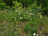 2012069548 Cape Smokey and the Lobster Fishing Industry - Cape Breton Island - Nova Scotia - Jun 25