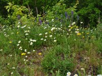 2012069549 Cape Smokey and the Lobster Fishing Industry - Cape Breton Island - Nova Scotia - Jun 25