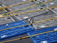 2012069565 Cape Smokey and the Lobster Fishing Industry - Cape Breton Island - Nova Scotia - Jun 25