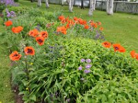 2012069600 Keltic Lodge - Ingonish - Nova Scotia - Jun 25