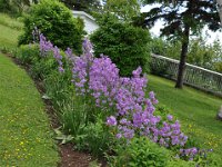 2012069601 Keltic Lodge - Ingonish - Nova Scotia - Jun 25