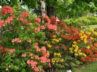 2012069603 Keltic Lodge - Ingonish - Nova Scotia - Jun 25