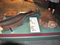 2012070475 Halifax - Nova Scotia - Canada - Jun 30