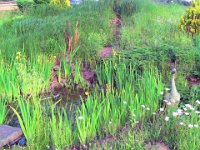 2012069931 Prince Edward Island Preserve Company - Hunter River - PEI - Canada - Jun 27