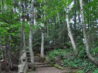 2012070067 Anne of Green Gables Museum - Silver Bush - PEI - Canada - Jun 28
