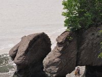 2012070250 Hopewell Cape and Bay of Fundy - New Brunswick - Canada - Jun 29