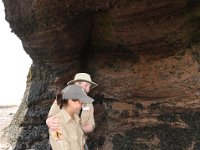 2012070261 Hopewell Cape and Bay of Fundy - New Brunswick - Canada - Jun 29