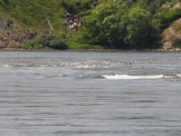 2012069088  Saint John - New Brunswick - Canada - Jun 21