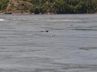 2012069089  Saint John - New Brunswick - Canada - Jun 21