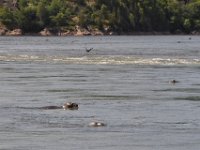 2012069090  Saint John - New Brunswick - Canada - Jun 21