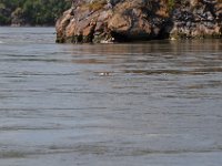 2012069091  Saint John - New Brunswick - Canada - Jun 21