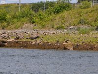 2012069154  Saint John - New Brunswick - Canada - Jun 21