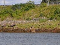 2012069155  Saint John - New Brunswick - Canada - Jun 21