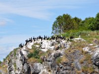 2012069168  Saint John - New Brunswick - Canada - Jun 21