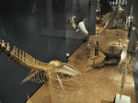 2012069202  Saint John - New Brunswick - Canada - Jun 21