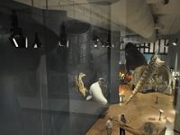 2012069203  Saint John - New Brunswick - Canada - Jun 21