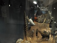 2012069204  Saint John - New Brunswick - Canada - Jun 21