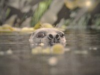 2012069206  Saint John - New Brunswick - Canada - Jun 21