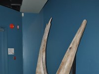 2012069210  Saint John - New Brunswick - Canada - Jun 21