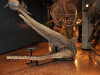 2012069211  Saint John - New Brunswick - Canada - Jun 21