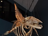 2012069212  Saint John - New Brunswick - Canada - Jun 21