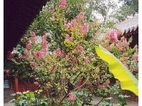 2001 06 c36 General's Palace -Hutong - Beijing