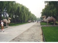 2001 06 i99e Sacred Way - Ming Tombs : Darla Hagberg,Betty Hagberg,Darrel Hagberg