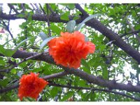 2001 06 h06 Art Museum - Xian