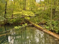 2013093590 Plitvice National Park Croatia - Sept 15