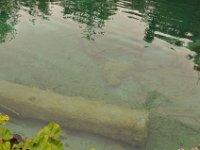 2013093595 Plitvice National Park Croatia - Sept 15