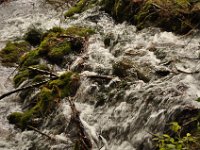 2013093599 Plitvice National Park Croatia - Sept 15