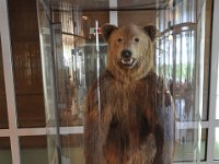 2013093699 Plitvice National Park Croatia - Sept 16