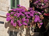 2013093372 Split Croatia -Sept 14