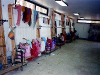 1992071042A2 Darrel-Betty-Darla Hagberg - Egypt Vacation