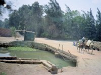 1992071043E Darrel-Betty-Darla Hagberg - Egypt Vacation