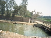 1992071043F Darrel-Betty-Darla Hagberg - Egypt Vacation