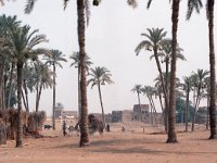 1992071044B Darrel-Betty-Darla Hagberg - Egypt Vacation